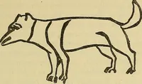 An illustration from Dogs of China & Japan in nature and art (1921)