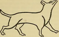 An illustration from Dogs of China & Japan in nature and art (1921)