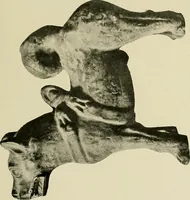 An illustration from Dogs of China & Japan in nature and art (1921)