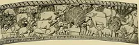 An illustration from Dogs of China & Japan in nature and art (1921)