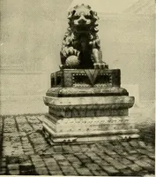 An illustration from Dogs of China & Japan in nature and art (1921)