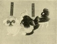 An illustration from Dogs of China & Japan in nature and art (1921)