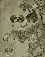 An illustration from Dogs of China & Japan in nature and art (1921)