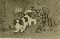 An illustration from Dogs of China & Japan in nature and art (1921)