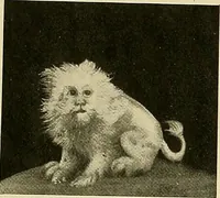 An illustration from Dogs of China & Japan in nature and art (1921)