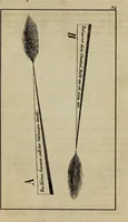 An illustration from Doktor Johannes Faust's Magia naturalis et innaturalis : oder, Dreifacher Höllenzwang, letztes Testament and Siegelkunst, nach einer kostbar ausgestattenten Handschrift in der Herzogl. Bibliothek zu Koburg vollständig und wortgetreu hrsg. in fünf Abtheilungen .. (1849)