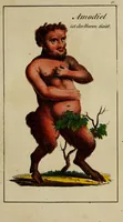 An illustration from Doktor Johannes Faust's Magia naturalis et innaturalis : oder, Dreifacher Höllenzwang, letztes Testament and Siegelkunst, nach einer kostbar ausgestattenten Handschrift in der Herzogl. Bibliothek zu Koburg vollständig und wortgetreu hrsg. in fünf Abtheilungen .. (1849)