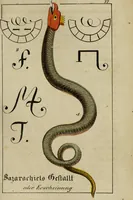 An illustration from Doktor Johannes Faust's Magia naturalis et innaturalis : oder, Dreifacher Höllenzwang, letztes Testament and Siegelkunst, nach einer kostbar ausgestattenten Handschrift in der Herzogl. Bibliothek zu Koburg vollständig und wortgetreu hrsg. in fünf Abtheilungen .. (1849)