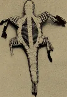 Picture 3 of 63 from The doll book (1908), leaf 29
