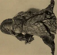 An illustration from The doll book (1908)