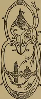 An illustration from Domestic science, a text in cooking and syllabus in sewing, prepared for use in the Kansas City elementary schools, yet eminently fitted for home work (1911)