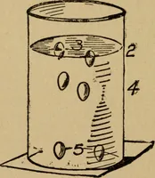 Picture 6 of 26 from Domestic science, a text in cooking and syllabus in sewing, prepared for use in the Kansas City elementary schools, yet eminently fitted for home work (1911), leaf 35