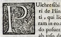 An illustration from Dominici Aulisi Opuscula : De gymnasii constructione, Mausolei architectura, Harmonia Timaica, & Numeris medicis : his accessit Epistola de colo Mayerano (1694)