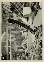 Picture 8 of 12 from The dominion of the air (1903), leaf 217