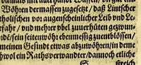 An illustration from Donawertische Relation : das ist: Gründtlicher wahrer Bericht vnd beständige kurtze Erzehlung, alles dess jenigen, was ein Zeit hero vor, bey vnd nach dem, wider die Statt Schwäbisch: oder Donawerth, vnlangst angestellten Process, Aachtserklärung, vnd darauff erfolgte Execution sich zugetragen. ... Allen vnd jeden, so ... die eigentliche Beschaffenheit dess Verlauffs nit erfahren können ... (1610)