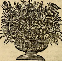 Picture 69 of 84 from Doorlugte voorbeelden der ouden : leerzaame zinnebeelden, nevens 't treurspel van L. Junius Brutus, vaderlyke gestrengheid, en verscheide gedigten (1725), leaf 579