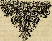 Picture 72 of 84 from Doorlugte voorbeelden der ouden : leerzaame zinnebeelden, nevens 't treurspel van L. Junius Brutus, vaderlyke gestrengheid, en verscheide gedigten (1725), leaf 615