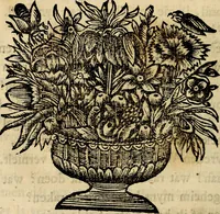 Picture 76 of 84 from Doorlugte voorbeelden der ouden : leerzaame zinnebeelden, nevens 't treurspel van L. Junius Brutus, vaderlyke gestrengheid, en verscheide gedigten (1725), leaf 625