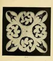 An illustration from Doylies (1893)