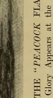 Picture 4 of 8 from The dramatic story of old glory (1919), leaf 212