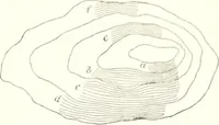 An illustration from The draughtsman's handbook of plan and map drawing, including instructions for the preparation of engineering, architectural, and mechanical drawings (1874)