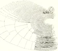 An illustration from The draughtsman's handbook of plan and map drawing, including instructions for the preparation of engineering, architectural, and mechanical drawings (1874)