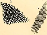 An illustration from Drawing & engraving : a brief exposition of technical principles & practice (1892)
