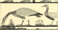 An illustration from Drawing & engraving : a brief exposition of technical principles & practice (1892)