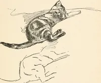 An illustration from Drawing for beginners (1920)