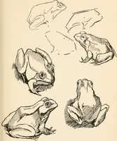 An illustration from Drawing for beginners (1920)