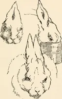 An illustration from Drawing for beginners (1920)