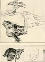 Picture 40 of 101 from Drawing for beginners (1920), leaf 131