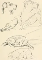 Picture 41 of 101 from Drawing for beginners (1920), leaf 135