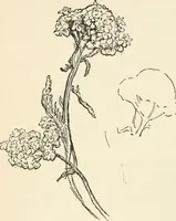 Picture 64 of 101 from Drawing for beginners (1920), leaf 180