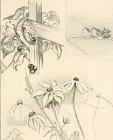 Picture 69 of 101 from Drawing for beginners (1920), leaf 187
