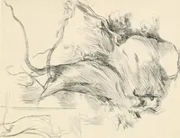 Picture 71 of 101 from Drawing for beginners (1920), leaf 191