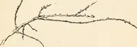 Picture 74 of 101 from Drawing for beginners (1920), leaf 195