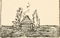 Picture 90 of 101 from Drawing for beginners (1920), leaf 227