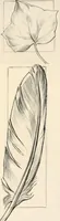 Picture 3 of 101 from Drawing for beginners (1920), leaf 29