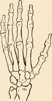 Picture 13 of 101 from Drawing for beginners (1920), leaf 67