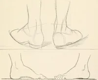 Picture 19 of 101 from Drawing for beginners (1920), leaf 79