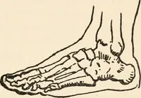 Picture 21 of 101 from Drawing for beginners (1920), leaf 81