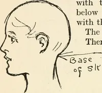 Picture 23 of 101 from Drawing for beginners (1920), leaf 84