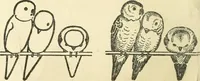 An illustration from Drawing made easy : a helpful book for young artists; the way to begin and finish your sketches, clearly shown step by step (1921)