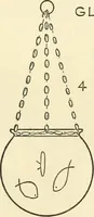Picture 17 of 143 from Drawing made easy : a helpful book for young artists; the way to begin and finish your sketches, clearly shown step by step (1921), leaf 26