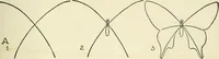 Picture 29 of 143 from Drawing made easy : a helpful book for young artists; the way to begin and finish your sketches, clearly shown step by step (1921), leaf 33