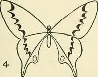 Picture 30 of 143 from Drawing made easy : a helpful book for young artists; the way to begin and finish your sketches, clearly shown step by step (1921), leaf 33