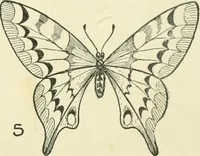 Picture 31 of 143 from Drawing made easy : a helpful book for young artists; the way to begin and finish your sketches, clearly shown step by step (1921), leaf 33