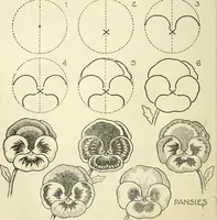 Picture 39 of 143 from Drawing made easy : a helpful book for young artists; the way to begin and finish your sketches, clearly shown step by step (1921), leaf 38
