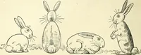 An illustration from Drawing made easy : a helpful book for young artists; the way to begin and finish your sketches, clearly shown step by step (1921)